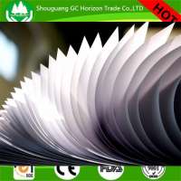 art paper high quality art board 100g 200g art